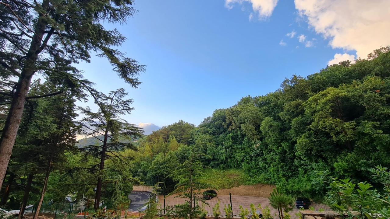Fiesa Residence ポルトローシュ エクステリア 写真