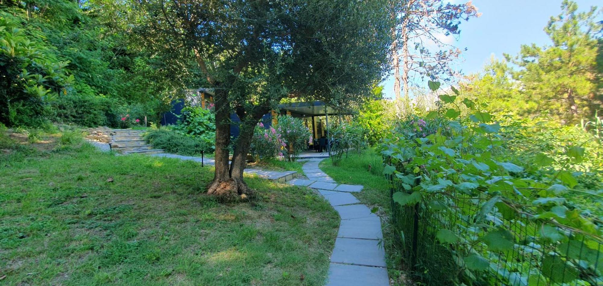 Fiesa Residence ポルトローシュ エクステリア 写真